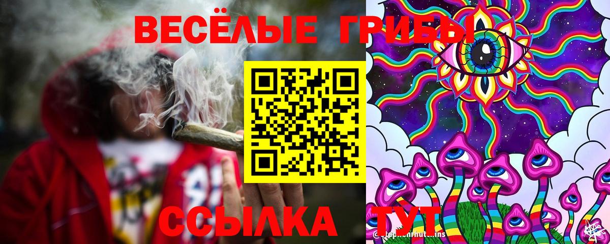 Галлюциногенные грибы Psilocybe Рославль