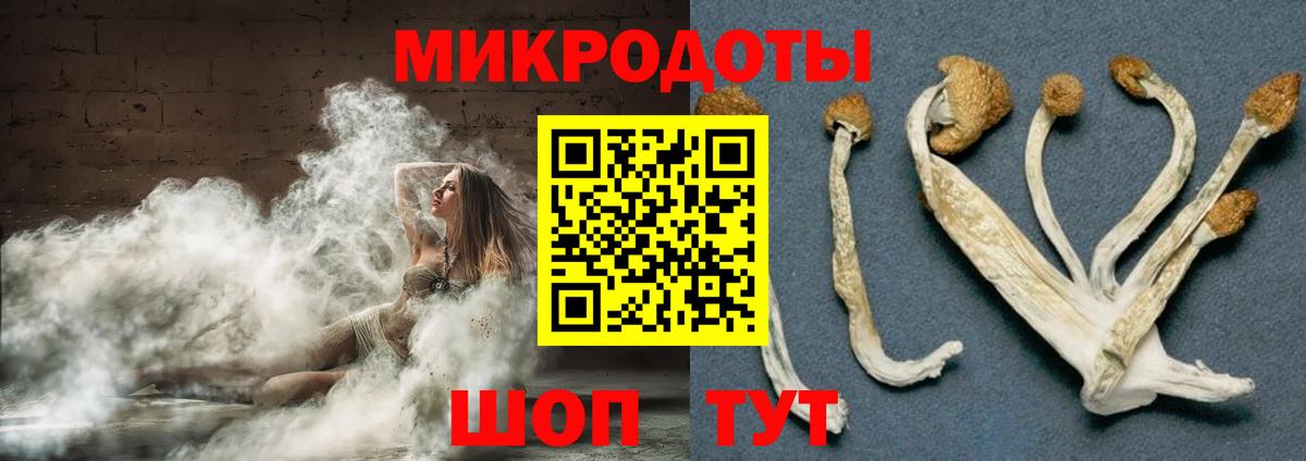 Рославль  Галлюциногенные грибы Magic Shrooms  Вход с VPN 